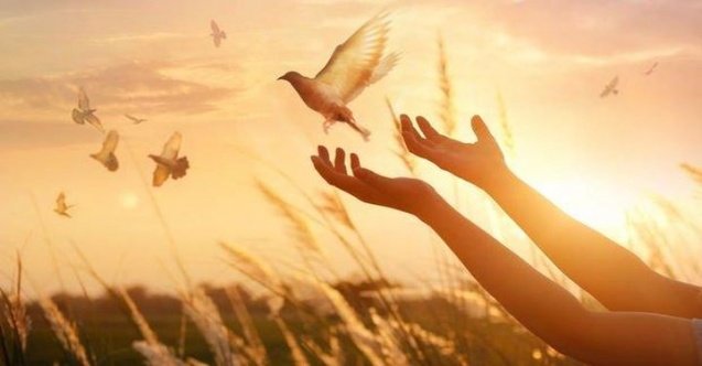 Hanemdeki Huzur Ve Mutluluk