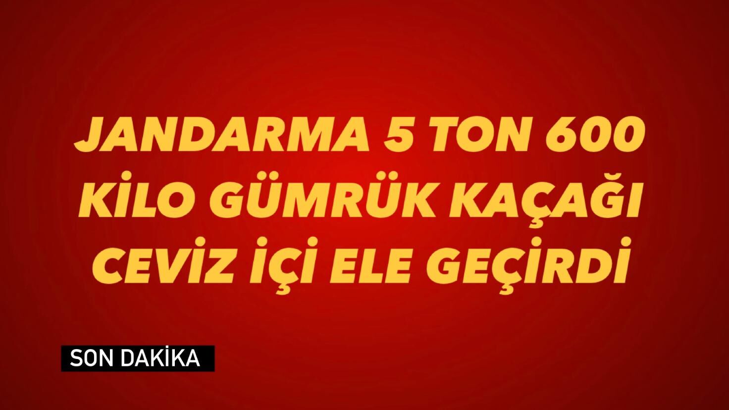 Jandarma 5 Ton 600 Kilo Gümrük Kaçağı Ceviz İçi Ele Geçirdi
