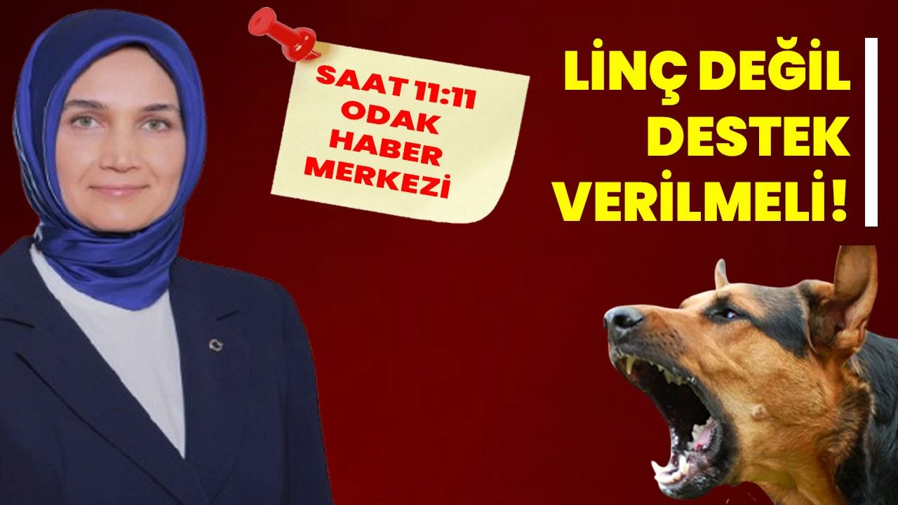 LİNÇ DEĞİL, DESTEK VERİLMELİ!