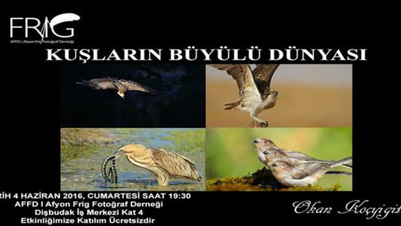 Kuşları konuşturan adam OKAN KOÇYİĞİT Afyon’a geliyor.