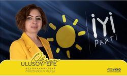 Okşan Ulusoy Efe’den