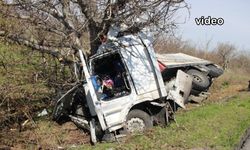 Ağaca çarparak parçalanan ekmek teknesini endişeli gözlerle izledi