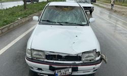 Kaza sonrası ilginç görüntü
