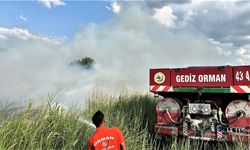 Çıkan yangında 8 dekar buğday tarlası zarar gördü