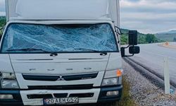 Trafik uyarı tabelasına çarpan kamyonet sürücüsü yaralandı
