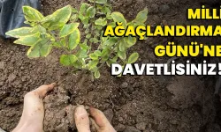 Milli Ağaçlandırma Günü'ne Davetlisiniz!