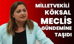 Milletvekili Köksal Meclis gündemine taşıdı