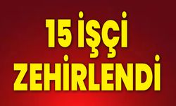 15 İşçi Zehirlendi