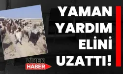 Yaman yardım elini uzattı!