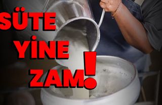 Süte yine zam