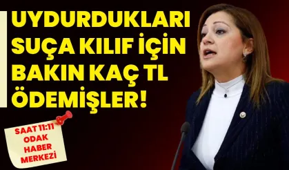 UYDURDUKLARI SUÇA KILIF İÇİN BAKIN KAÇ TL ÖDEMİŞLER!
