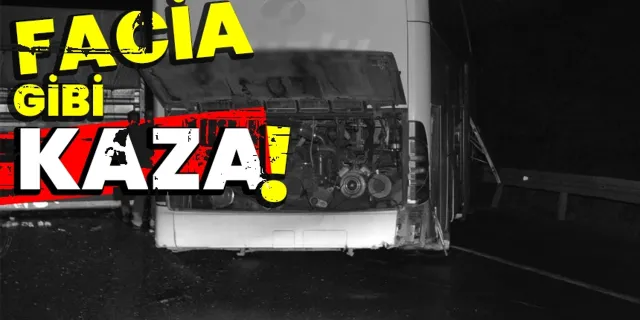 Facia gibi kaza