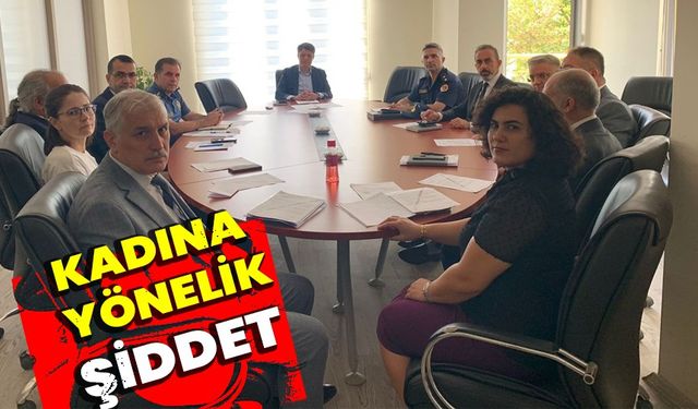 Kadına Yönelik Şiddet  