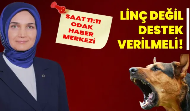 LİNÇ DEĞİL, DESTEK VERİLMELİ!