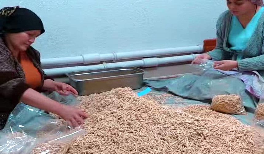 Sinanpaşalı kadınlar deprem bölgesine iki ton erişte gönderdi