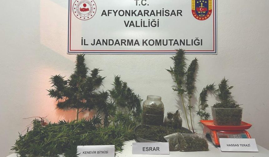 Bolvadin’de Jandarma 2 kilogram esrar ve kenevir ele geçirdi;