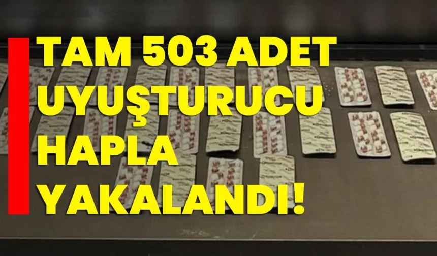 Tam 503 adet uyuşturucu hapla yakalandı!